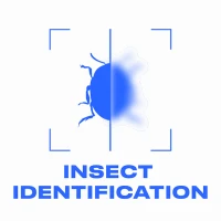 Bug ID: Insect Identifier AI