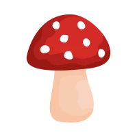 Shroomify - USA Mushroom ID