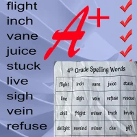 Spelling Bee Games & Tests