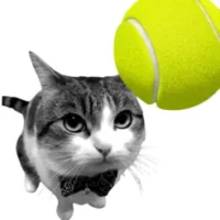 Cat Tennis - Meme Game