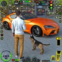 City Car Driving 3D Game Sim